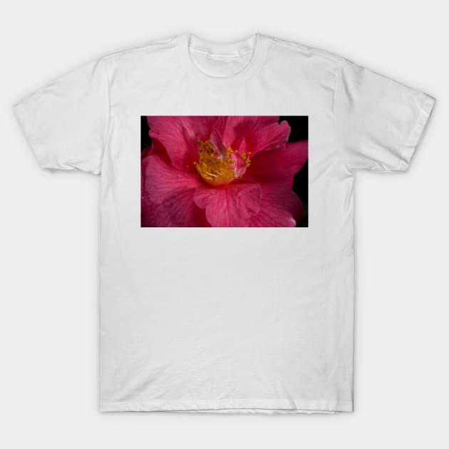 Clematis Stamens T-Shirt by GP1746